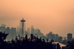 Late wildfire season underscores importance of forest management