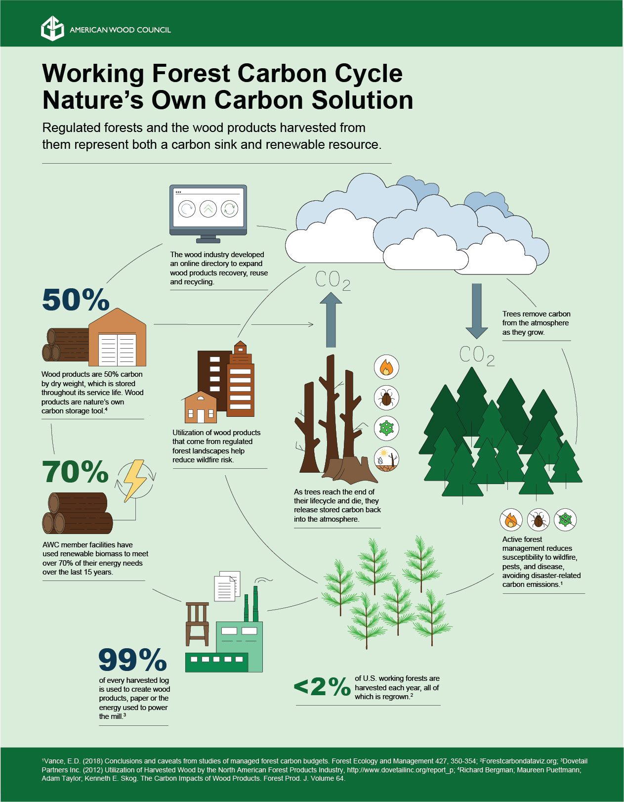 An illustrated graphic that shows how managed forests absorb carbon from the atmosphere and store it in growing trees, how harvbest produces wood products that also store carbon in buildings and other things, and how sustainable forestry practices such as replanting keep managed forests healthy and perpetuate a cycle that is very good at absorbing and storing carbon from the atmosphere.