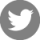 twit-icon